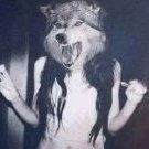 the_wolf