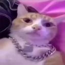 Luca